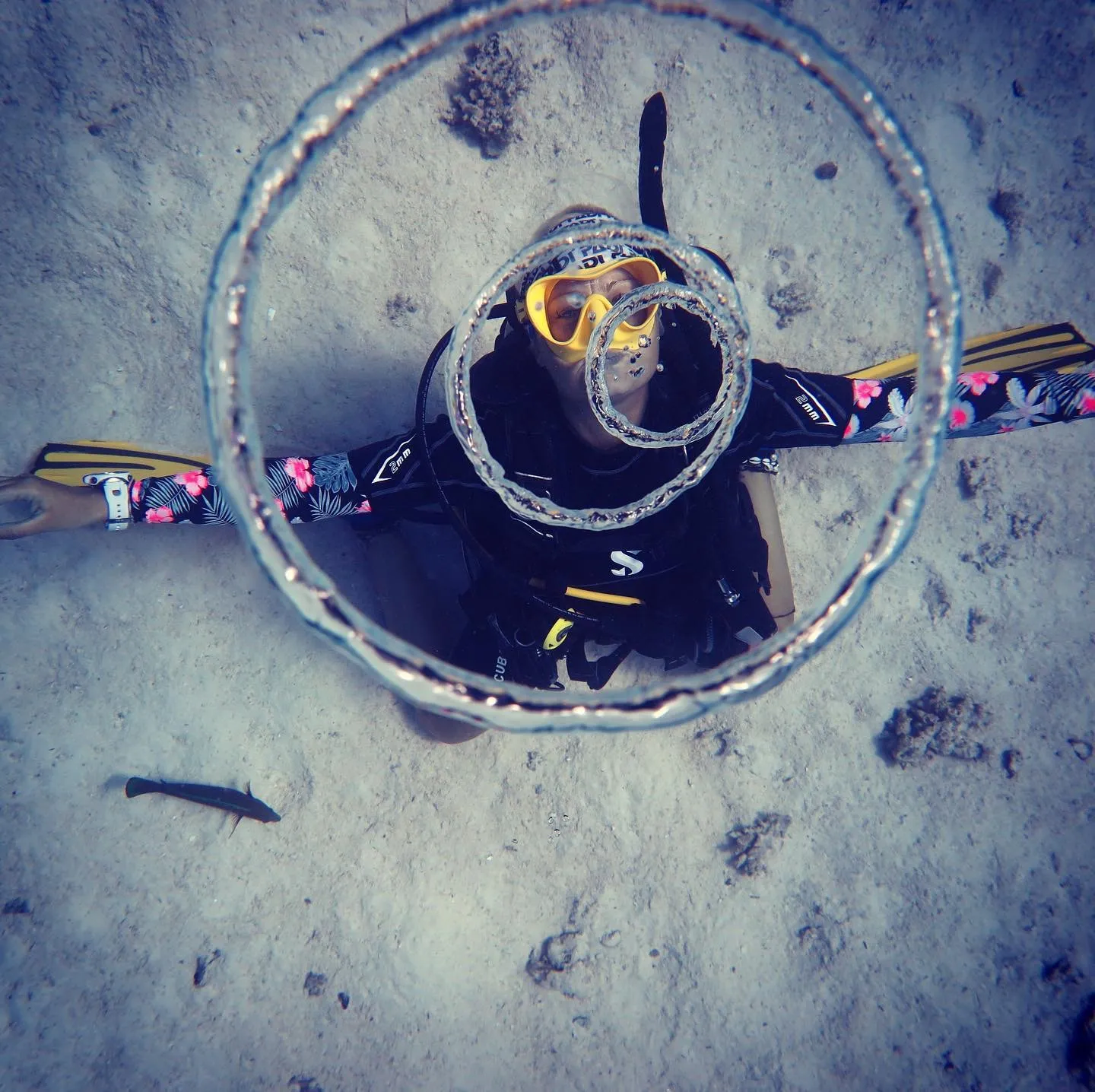 Profilbild von Sofie Henriksson